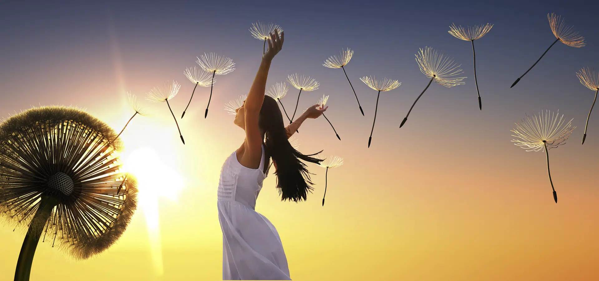 Sinta-se em paz e seja livre das dívidas